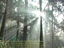 Rays of Hope icon